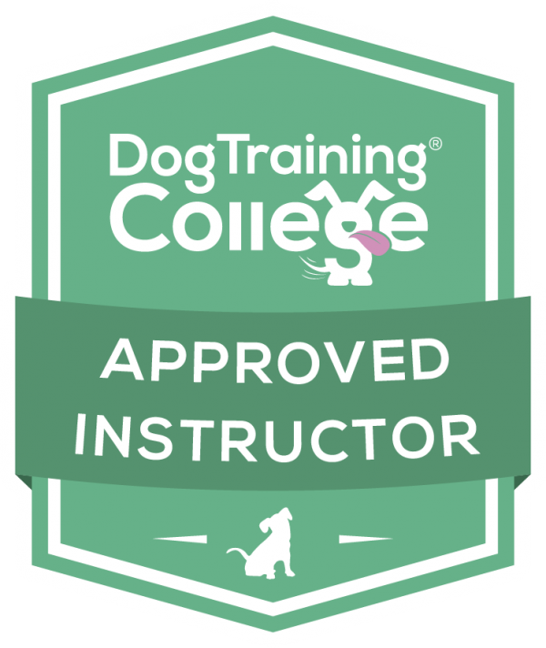 Training and Behaviour Specialists For Dachshunds